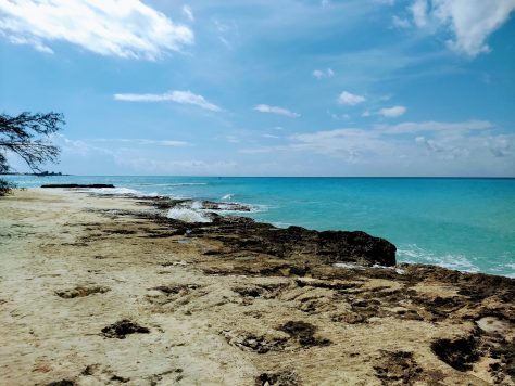 Bimini island And Cat CAYs. photograph 5